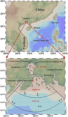 Environmental Regulation of Photosynthetically Produced Dissolved Organic Carbon by Phytoplankton Along a Subtropical Estuarine Bay